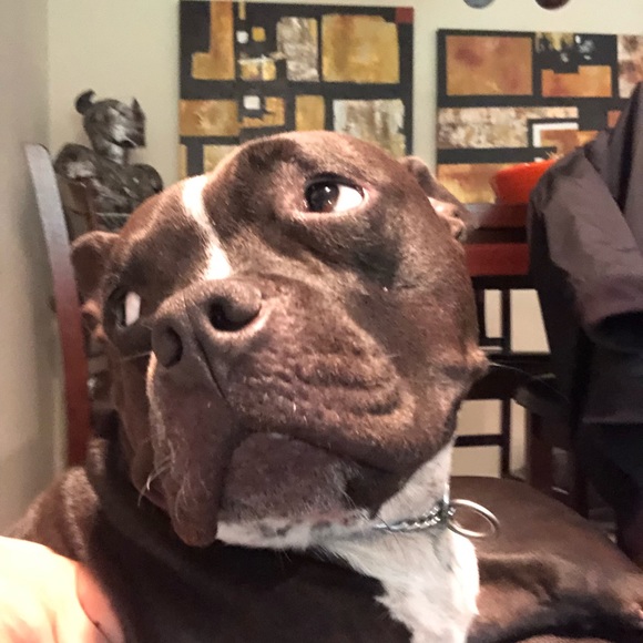 Meet your Posher, Erica - Picture 1 of 1